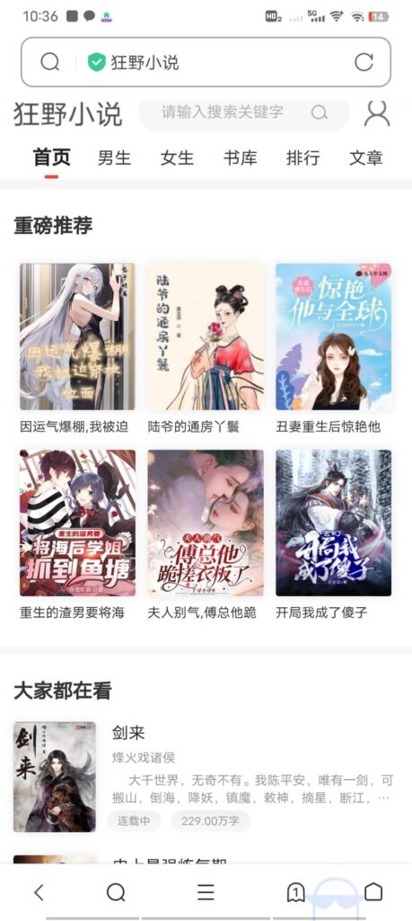 狂雨小说网站源码带管理后台手机端和采集鱼见海科技-小程序源码-网站源码-免费源码鱼见海资源网-免费PHP网站源码模板,插件软件资源分享平台！