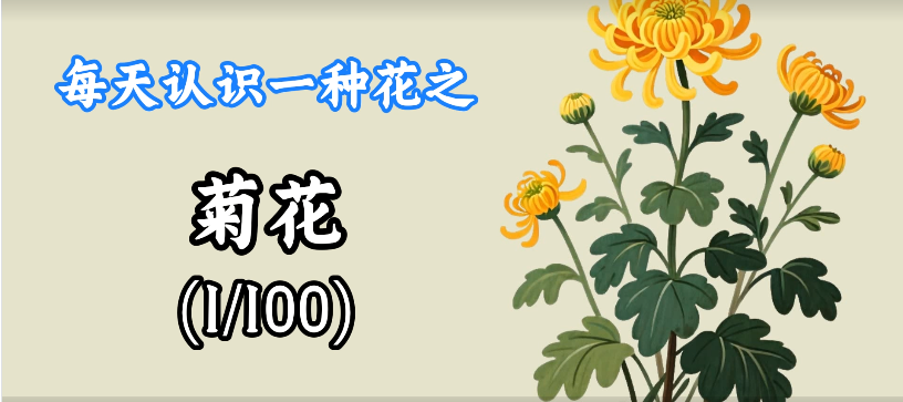 视频工作流：s95每天认识一朵花鱼见海科技-小程序源码-网站源码-免费源码-网创项目-网赚项目-无人直播-弹幕游戏直播鱼见海资源网-免费PHP网站源码模板,插件软件网创AI智能体资源分享平台！